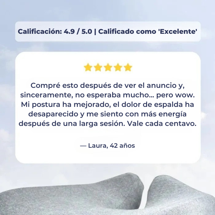 OrthoSupport™ – Almohada para la postura en silla de oficina