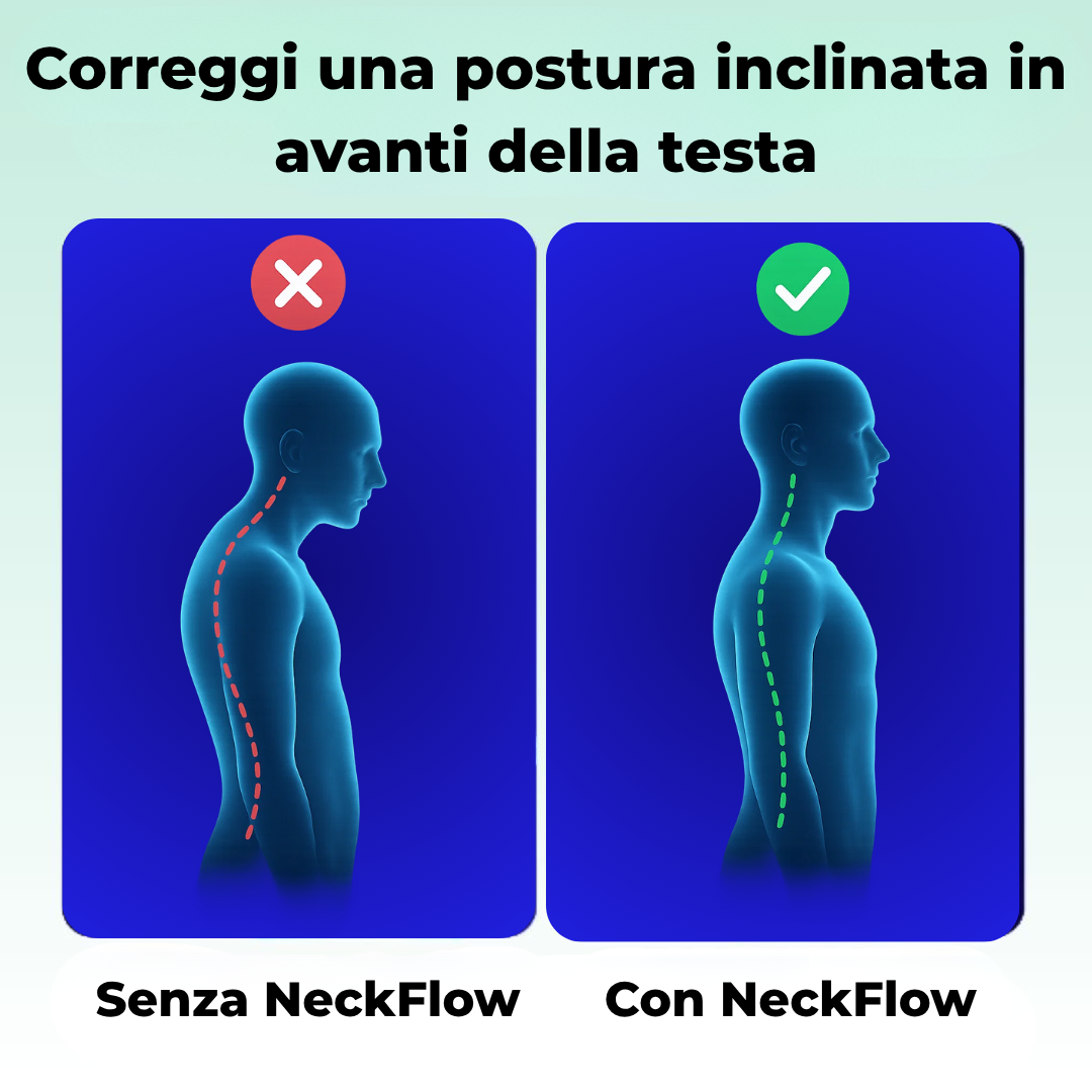 NeckFlow